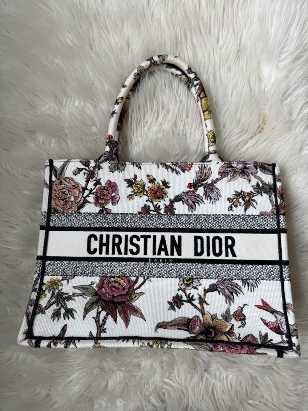 Christian Dior Book Tote